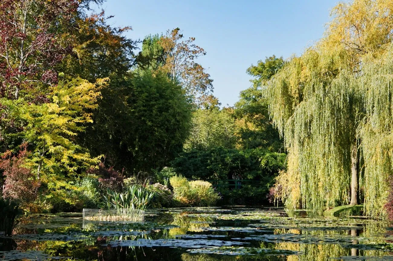 Reflets sur l'eau étang Giverny jardin de Monet