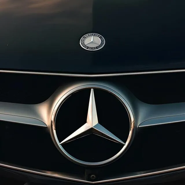 Flotte Mercedes logo